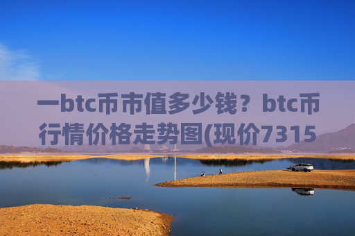 一btc币市值多少钱?btc币行情价格走势图(现价731528.53元)