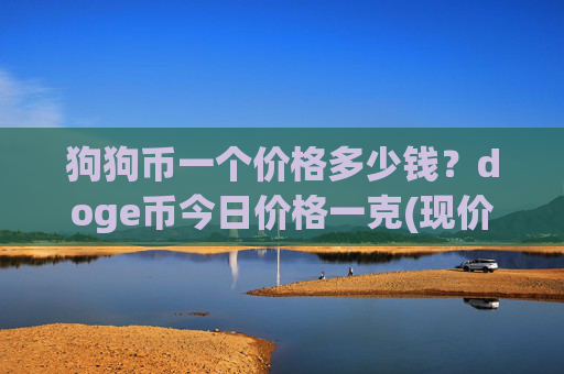 狗狗币一个价格多少钱？doge币今日价格一克(现价3.1308元)