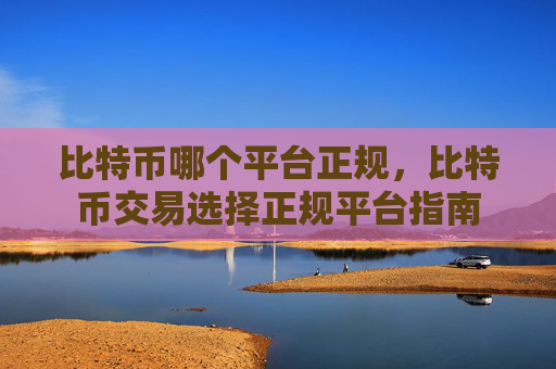 比特币哪个平台正规，比特币交易选择正规平台指南