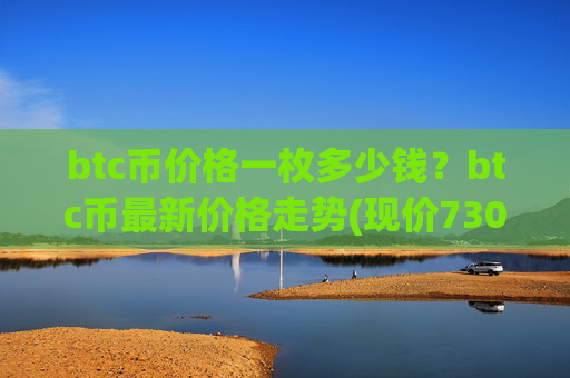 btc币价格一枚多少钱？btc币最新价格走势(现价730633.35元)