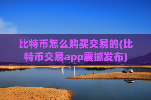 比特币怎么购买交易的(比特币交易app震撼发布)