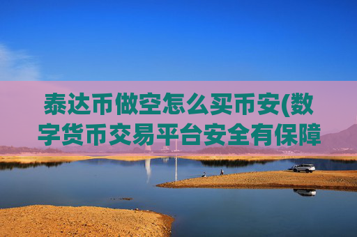 泰达币做空怎么买币安(数字货币交易平台安全有保障)