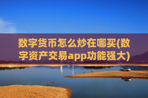 数字货币怎么炒在哪买(数字资产交易app功能强大)