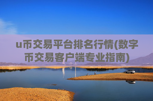 u币交易平台排名行情(数字币交易客户端专业指南)