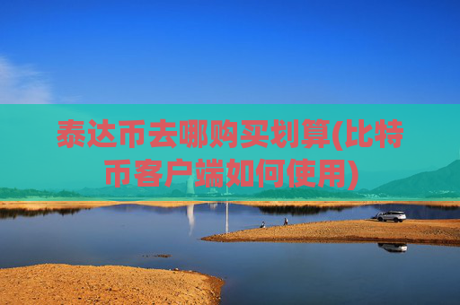 泰达币去哪购买划算(比特币客户端如何使用)