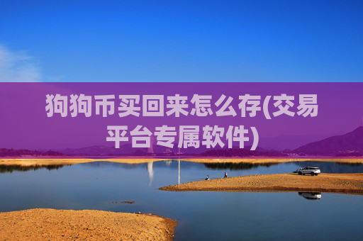 狗狗币买回来怎么存(交易平台专属软件)