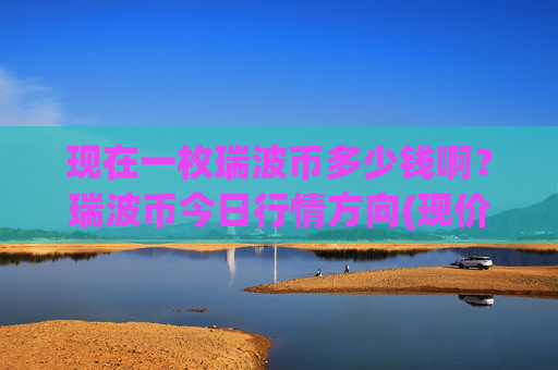 现在一枚瑞波币多少钱啊？瑞波币今日行情方向(现价16.9192元)