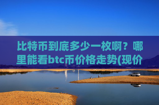 比特币到底多少一枚啊？哪里能看btc币价格走势(现价730794.86元)