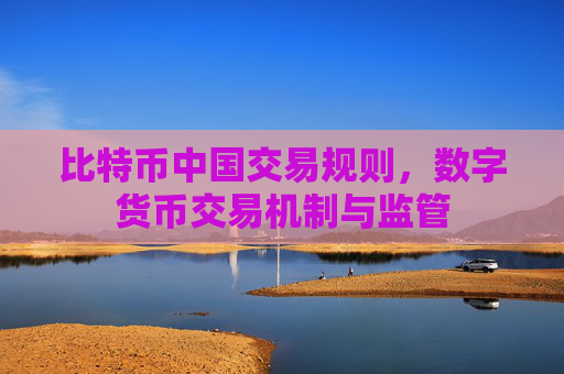 比特币中国交易规则,数字货币交易机制与监管