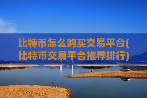 比特币怎么购买交易平台(比特币交易平台推荐排行)