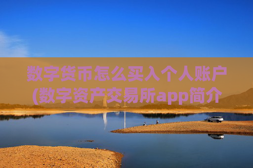 数字货币怎么买入个人账户(数字资产交易所app简介)