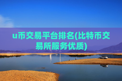 u币交易平台排名(比特币交易所服务优质)