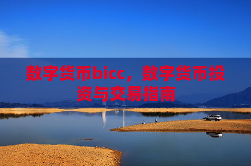 数字货币bicc，数字货币投资与交易指南