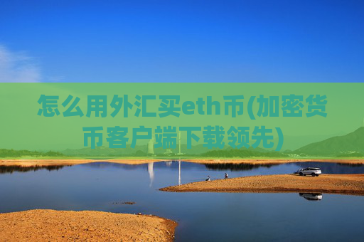 怎么用外汇买eth币(加密货币客户端下载领先)