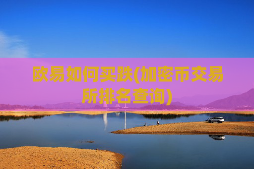 欧易如何买跌(加密币交易所排名查询)