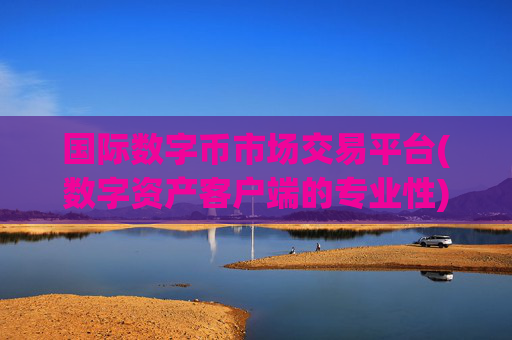 国际数字币市场交易平台(数字资产客户端的专业性)