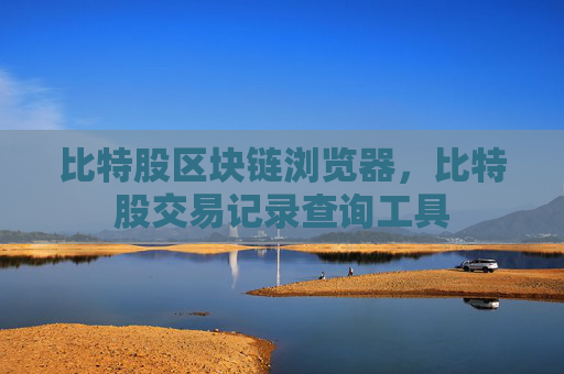 比特股区块链浏览器，比特股交易记录查询工具