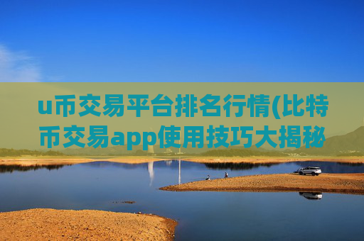 u币交易平台排名行情(比特币交易app使用技巧大揭秘)