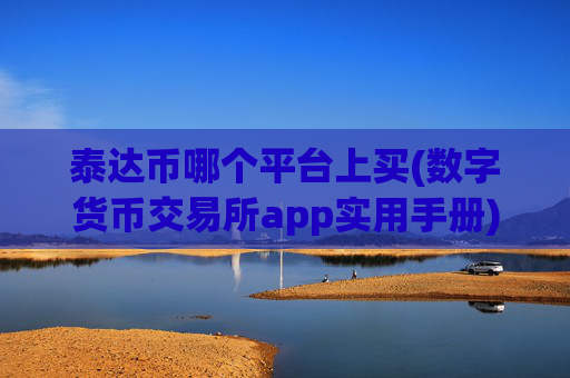 泰达币哪个平台上买(数字货币交易所app实用手册)