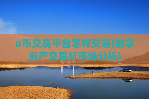 u币交易平台怎样交易(数字资产交易所市场分析)