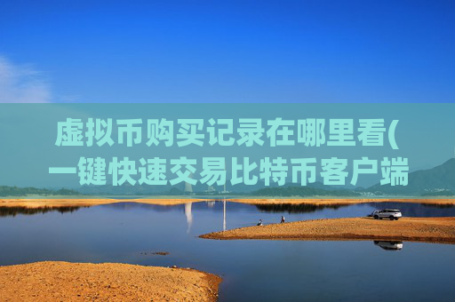 虚拟币购买记录在哪里看(一键快速交易比特币客户端)