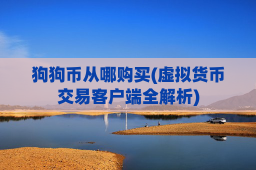 狗狗币从哪购买(虚拟货币交易客户端全解析)