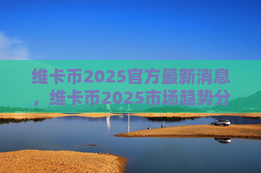 维卡币2025官方最新消息，维卡币2025市场趋势分析预测