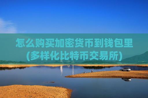 怎么购买加密货币到钱包里(多样化比特币交易所)