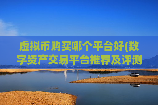 虚拟币购买哪个平台好(数字资产交易平台推荐及评测)