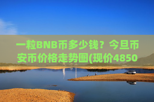 一粒BNB币多少钱？今旦币安币价格走势图(现价4850.48元)