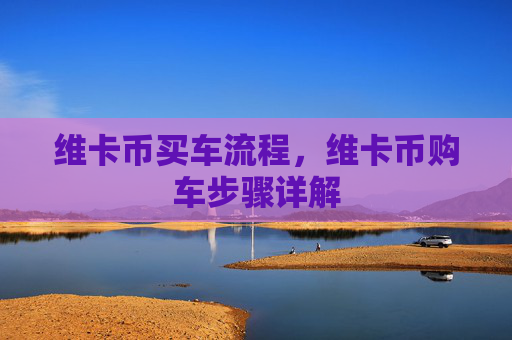 维卡币买车流程，维卡币购车步骤详解