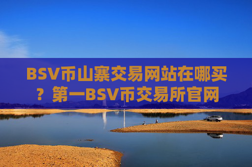 BSV币山寨交易网站在哪买？第一BSV币交易所官网