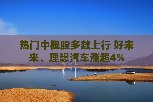 热门中概股多数上行 好未来、理想汽车涨超4%