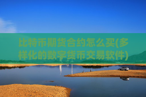 比特币期货合约怎么买(多样化的数字货币交易软件)