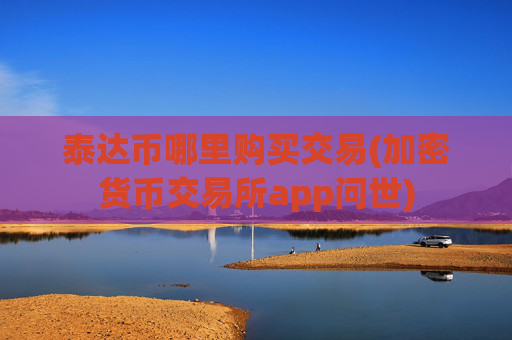 泰达币哪里购买交易(加密货币交易所app问世)