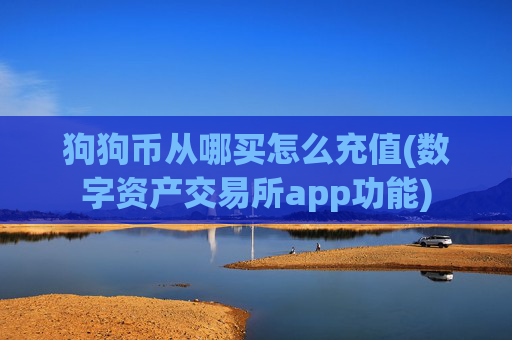 狗狗币从哪买怎么充值(数字资产交易所app功能)