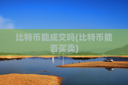 比特币能成交吗(比特币能否买卖)
