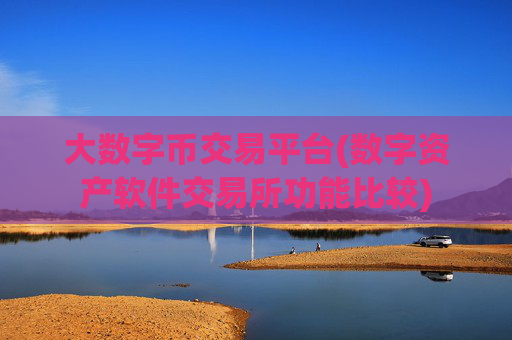 大数字币交易平台(数字资产软件交易所功能比较)