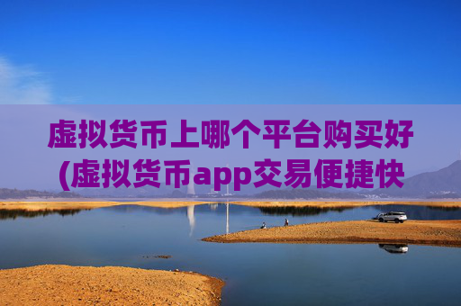 虚拟货币上哪个平台购买好(虚拟货币app交易便捷快速)