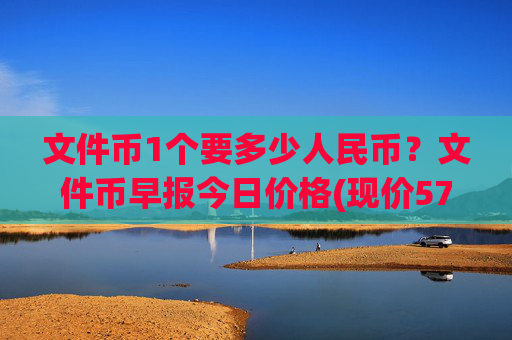 文件币1个要多少人民币？文件币早报今日价格(现价57.1443元)