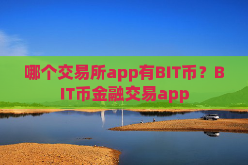 哪个交易所app有BIT币？BIT币金融交易app