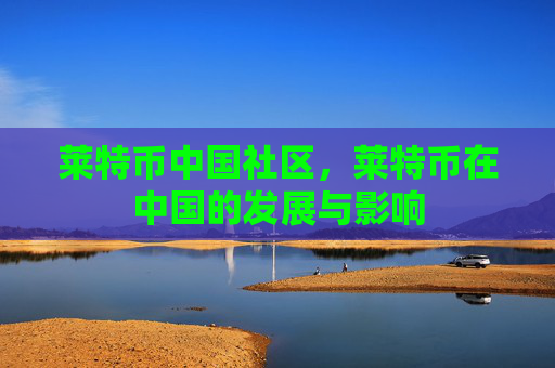 莱特币中国社区,莱特币在中国的发展与影响
