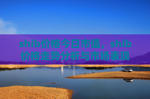 shib价格今日市值，shib价格走势分析与市场表现