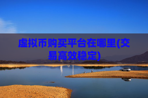 虚拟币购买平台在哪里(交易高效稳定)
