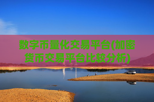数字币量化交易平台(加密货币交易平台比较分析)