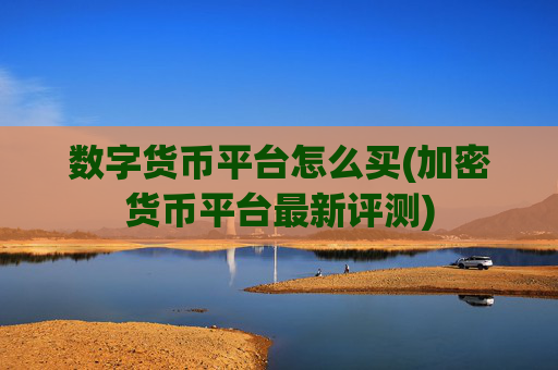 数字货币平台怎么买(加密货币平台最新评测)