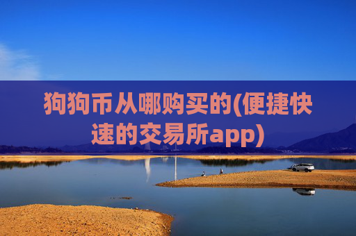 狗狗币从哪购买的(便捷快速的交易所app)