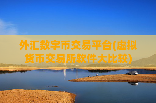 外汇数字币交易平台(虚拟货币交易所软件大比较)