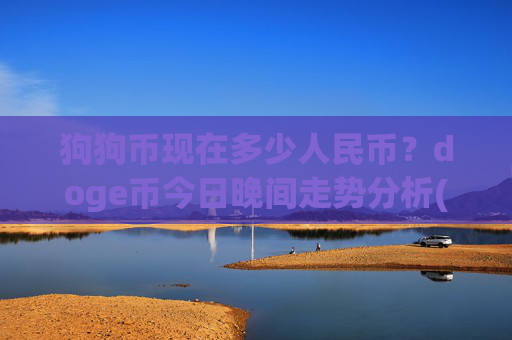 狗狗币现在多少人民币？doge币今日晚间走势分析(现价3.2183元)