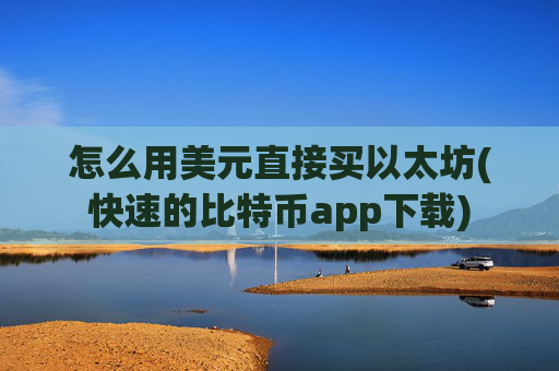 怎么用美元直接买以太坊(快速的比特币app下载)